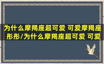 为什么摩羯座超可爱 可爱摩羯座彤彤/为什么摩羯座超可爱 可爱摩羯座彤彤-我的网站